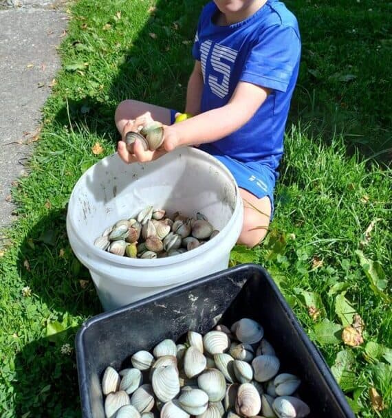 Young child sitting on the grass holding up a handful of fresh clams from a bucket