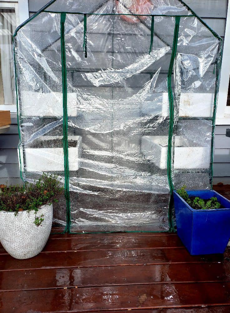 grow tent