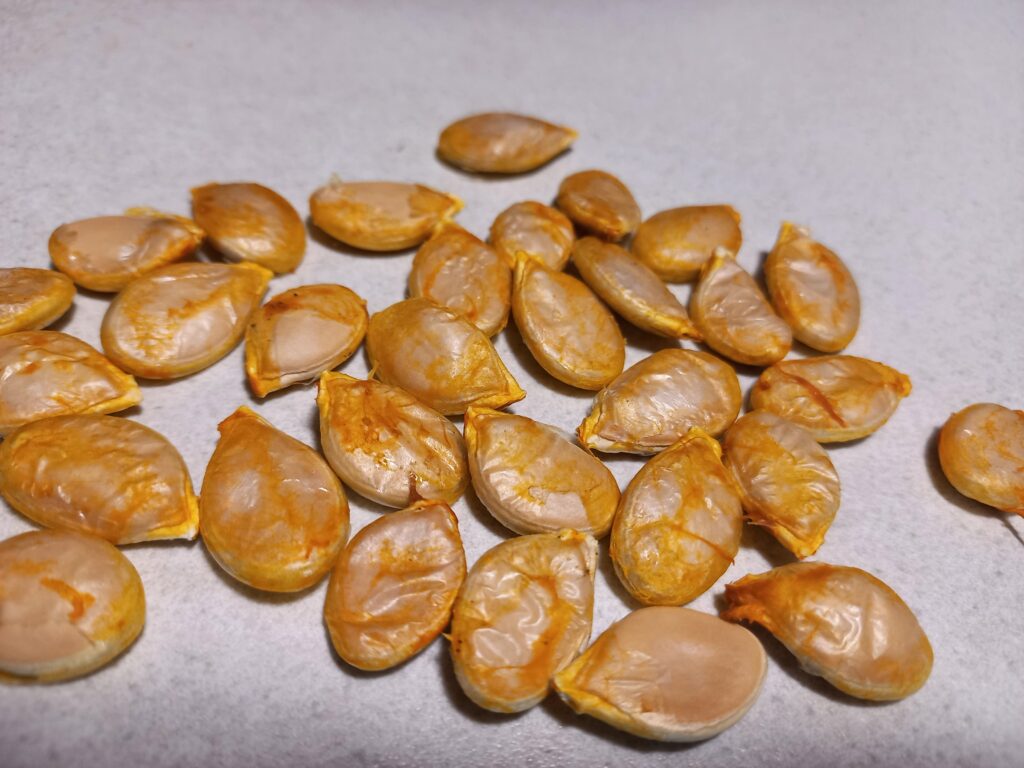 pumpkin seeds on a white bench top