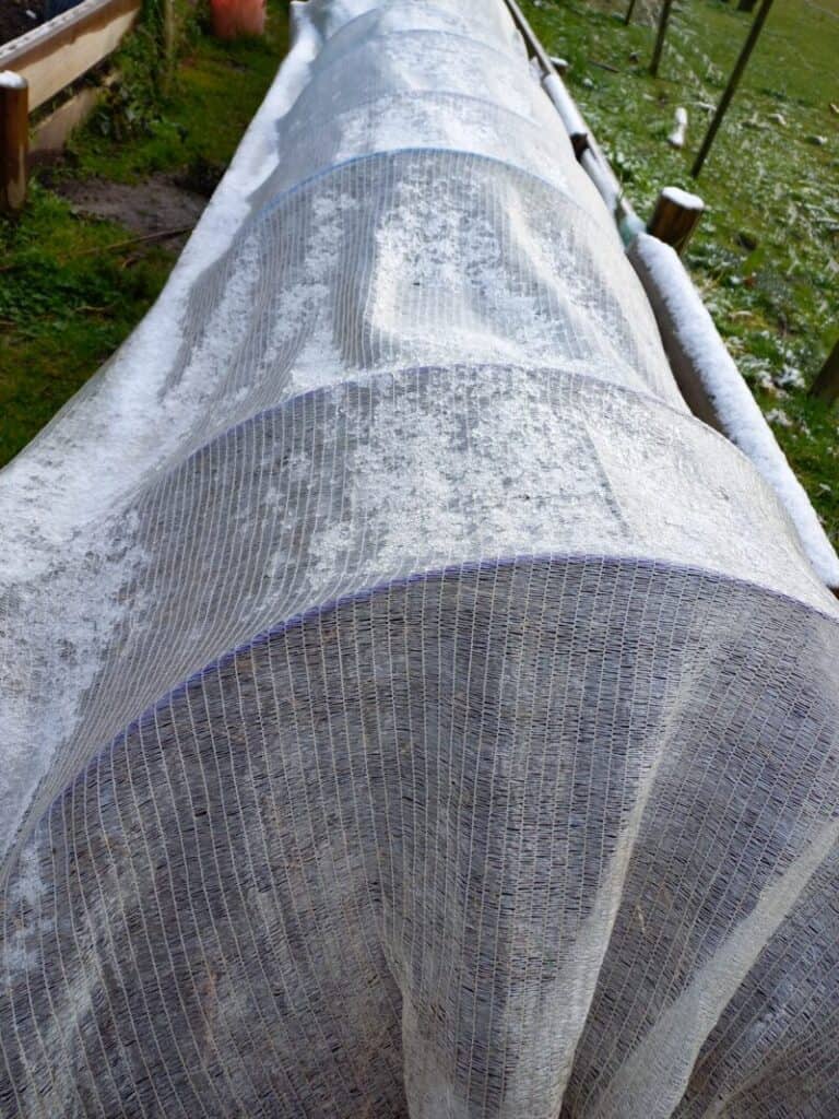 Winter garden bed covered up with frost cloth and snow on top