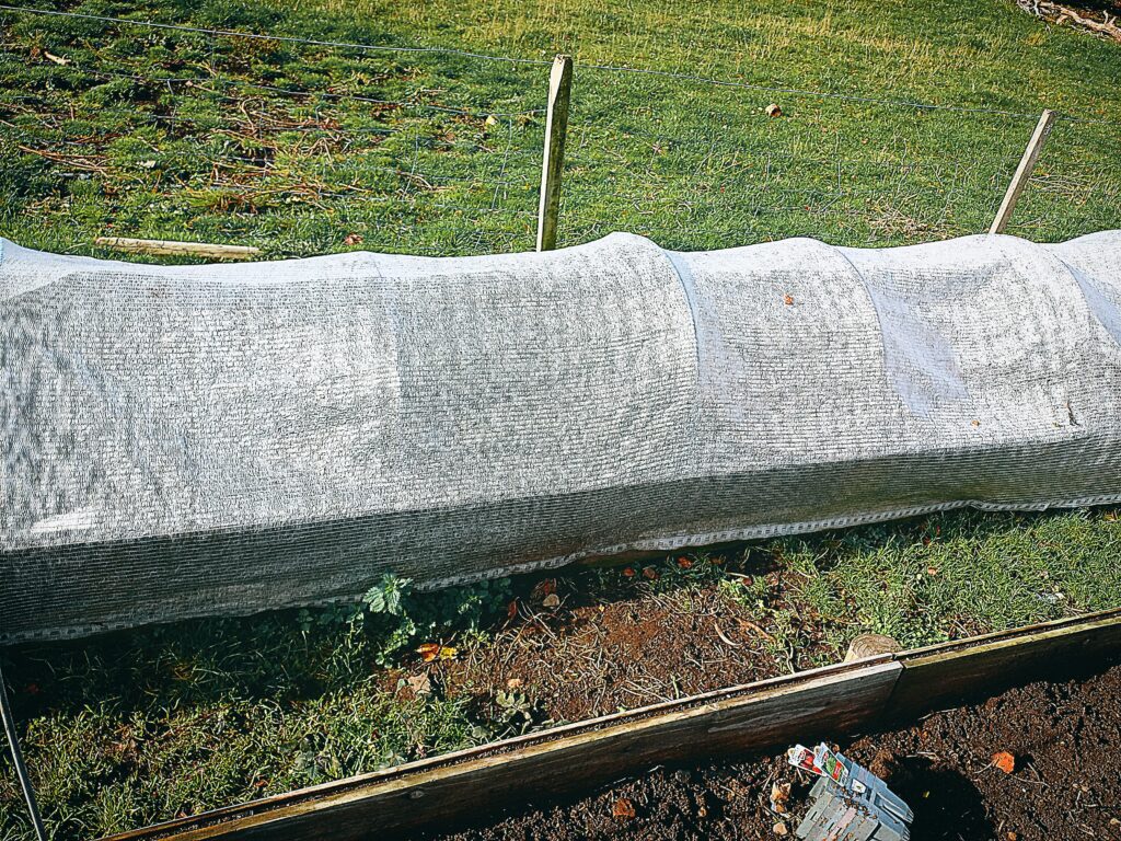vegetable garden bed with frost cloth cover