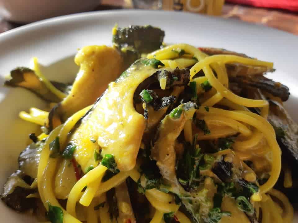Spagetthi and creamy saffron Paua in a white bowl plate