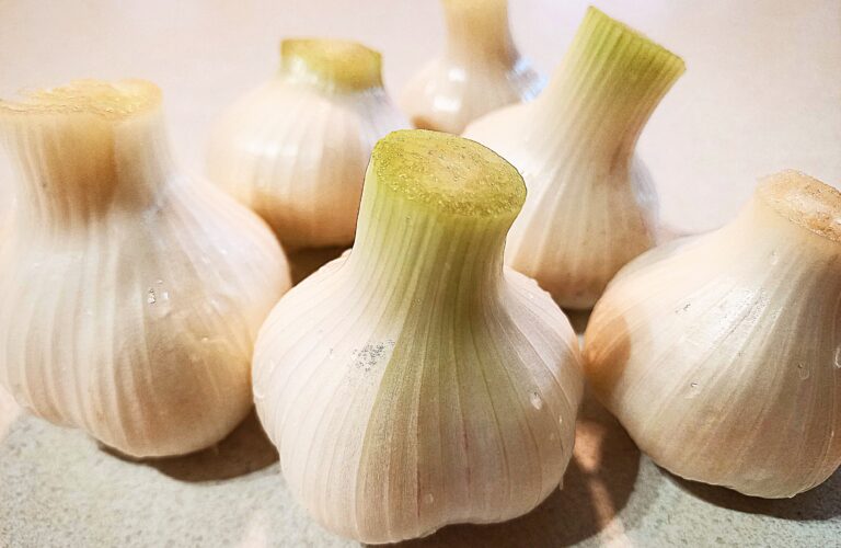 6 garlic heads on a white bench