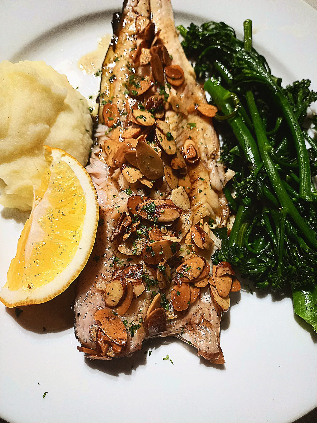 A Trout fillet on a white plate topped with almondine sauce. Mash potato and a lemon wedge on one side and steamed broccolini on the other side of the fillet