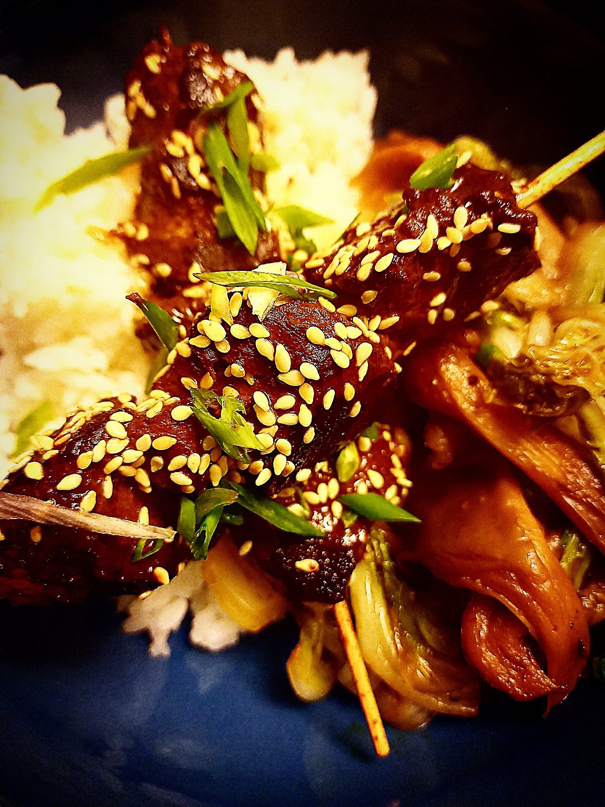 2 Wild duck skewers in hoisin sauce topped with sesame seeds. Served on top of steamed rice, sauteed oyster mushrooms and cabbage