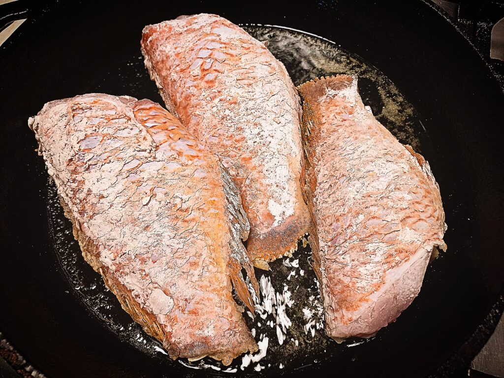 3 whole scarlette wrasse dusted in flour cooking in a cast iron skillet frying pan
