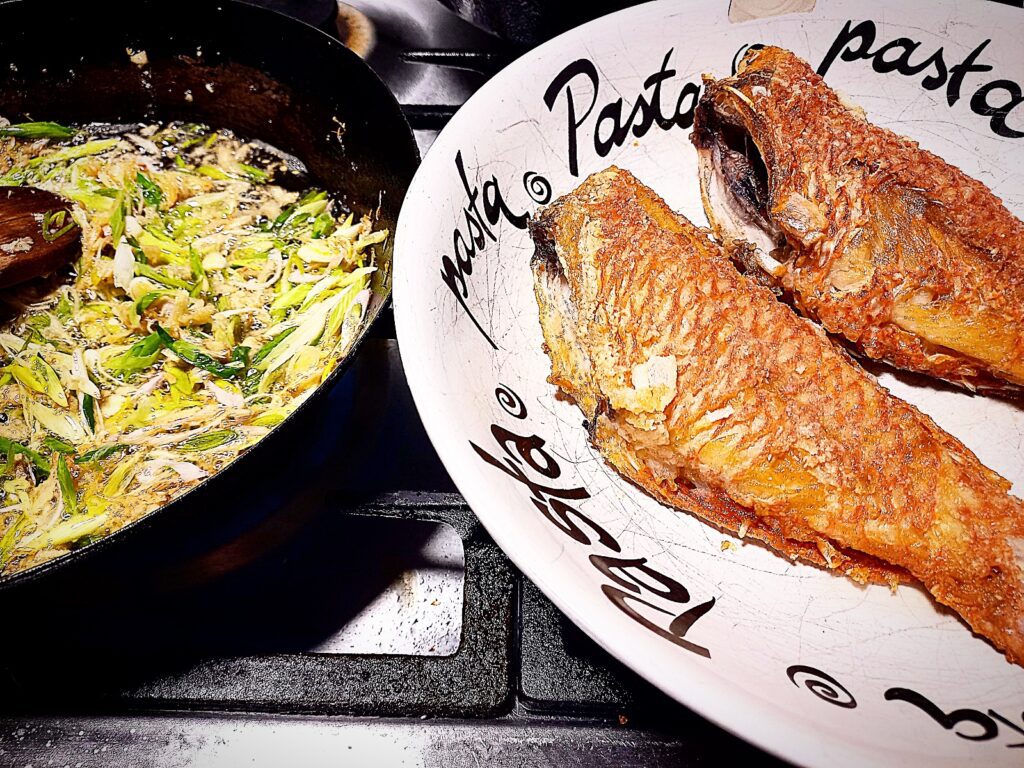 Two scarlette wrasse on a plate and a frying pan with spring onion and xo sauce cooking