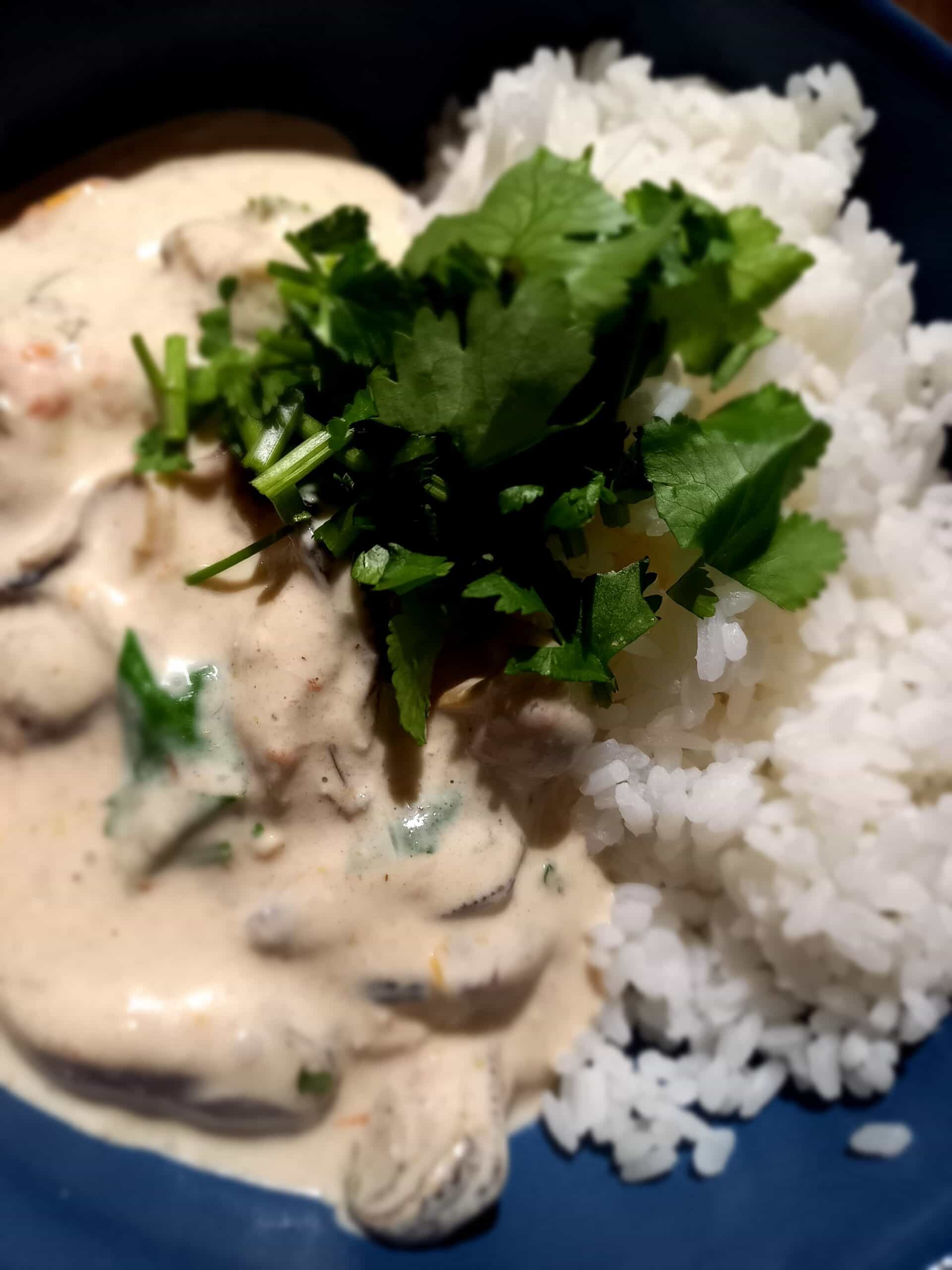 mussel meat in coconut and curry sauce with rice in a blue bowl late topped with fresh coriander leaves