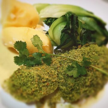 Herb crusted blue cod with curried coconut sauce, boiled potatoes and steamed bok choi on a white plate. Garnished with a sprig of coriander