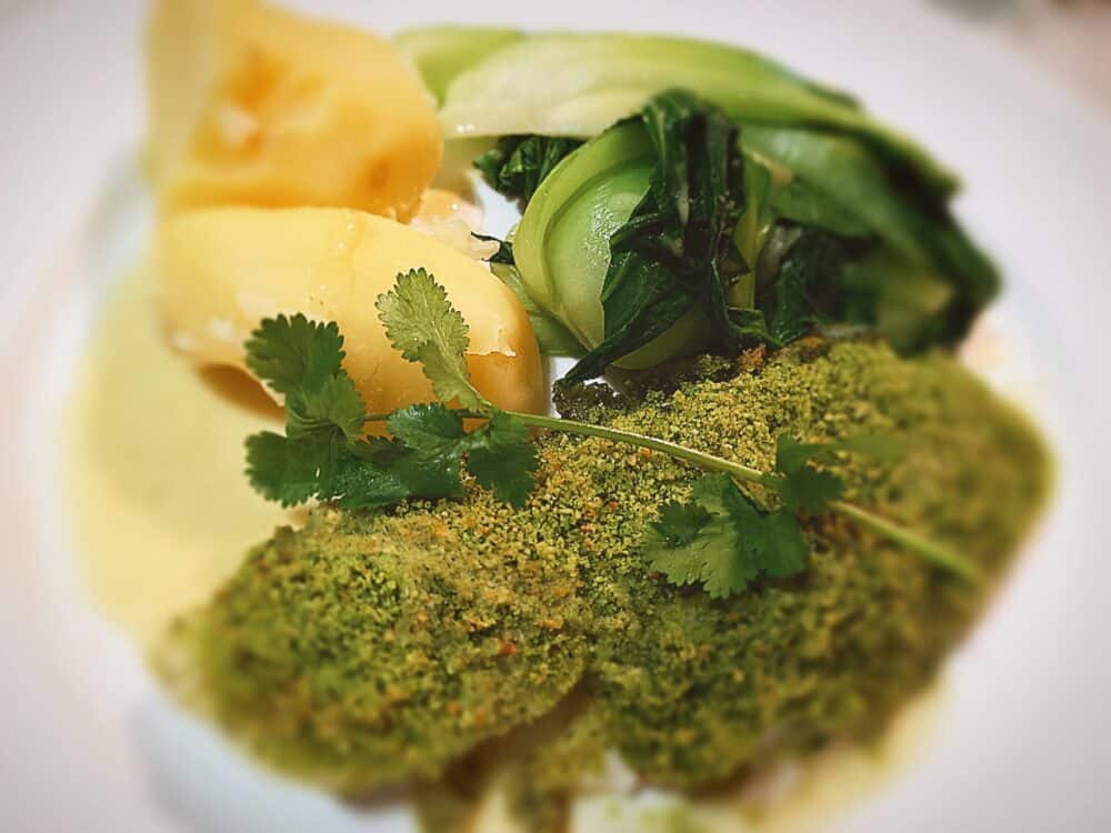 Herb crusted blue cod with curried coconut sauce, boiled potatoes and steamed bok choi on a white plate. Garnished with a sprig of coriander