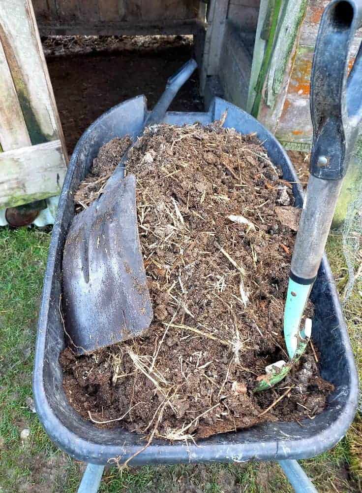 a wheel barrow full of chicken manure