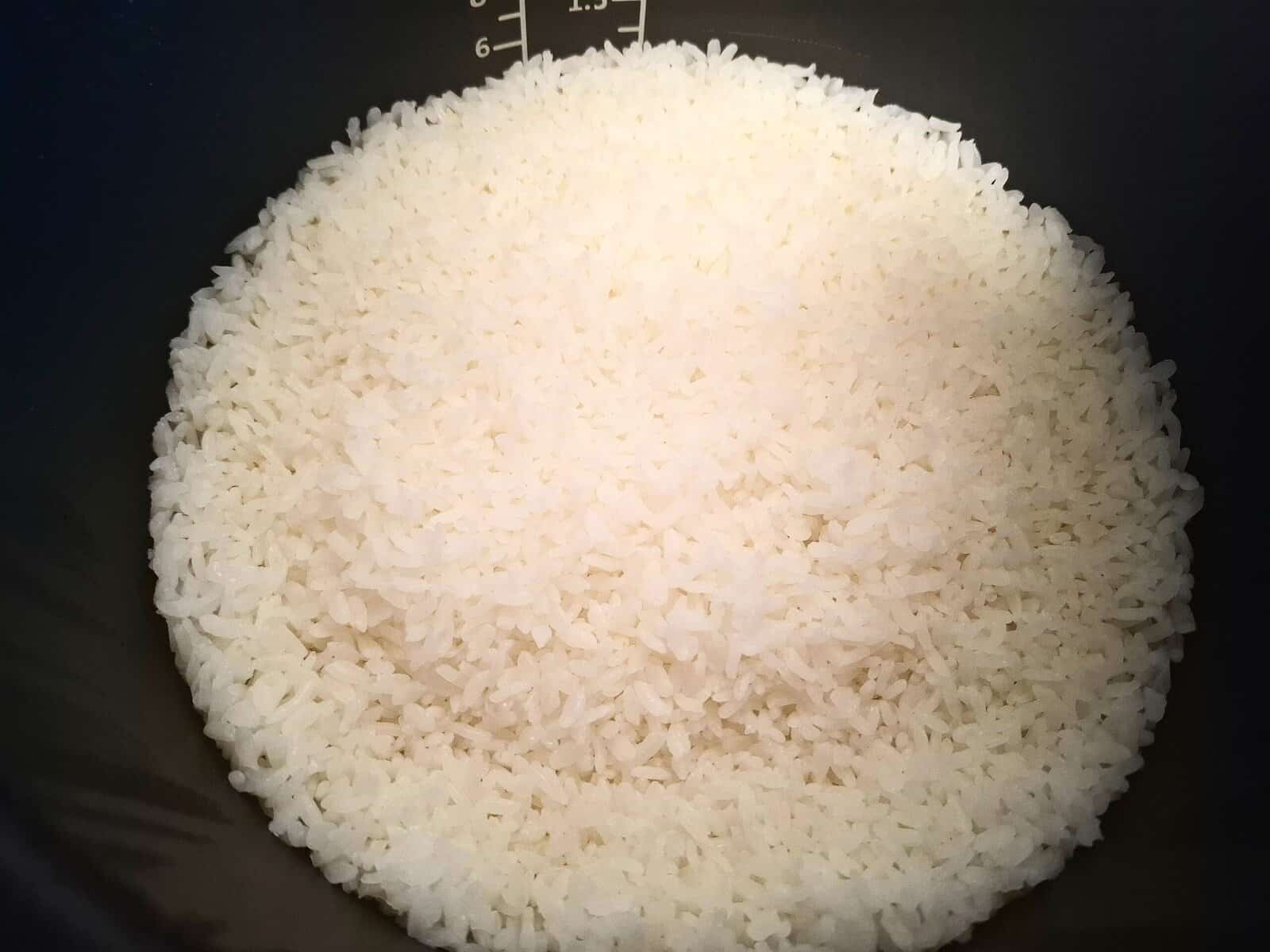Cooked sushi rice in a rice cooker pot