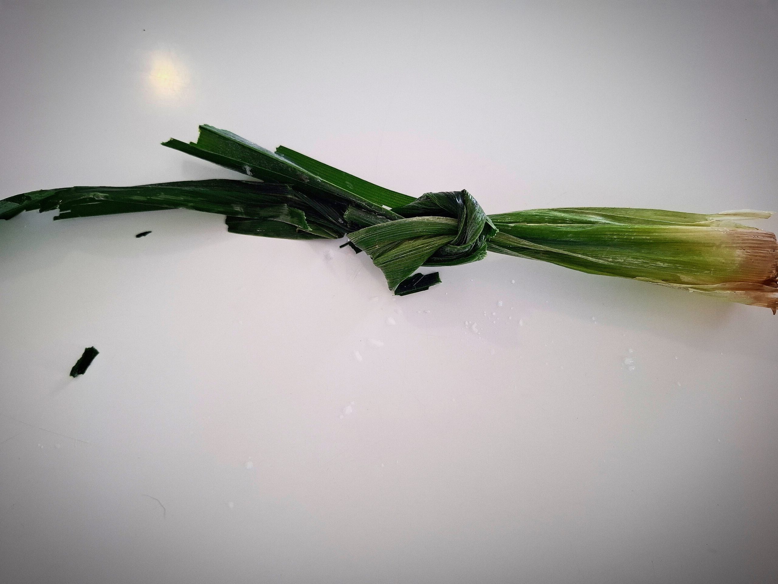 Pendan leaves tied int a knot on a white table top