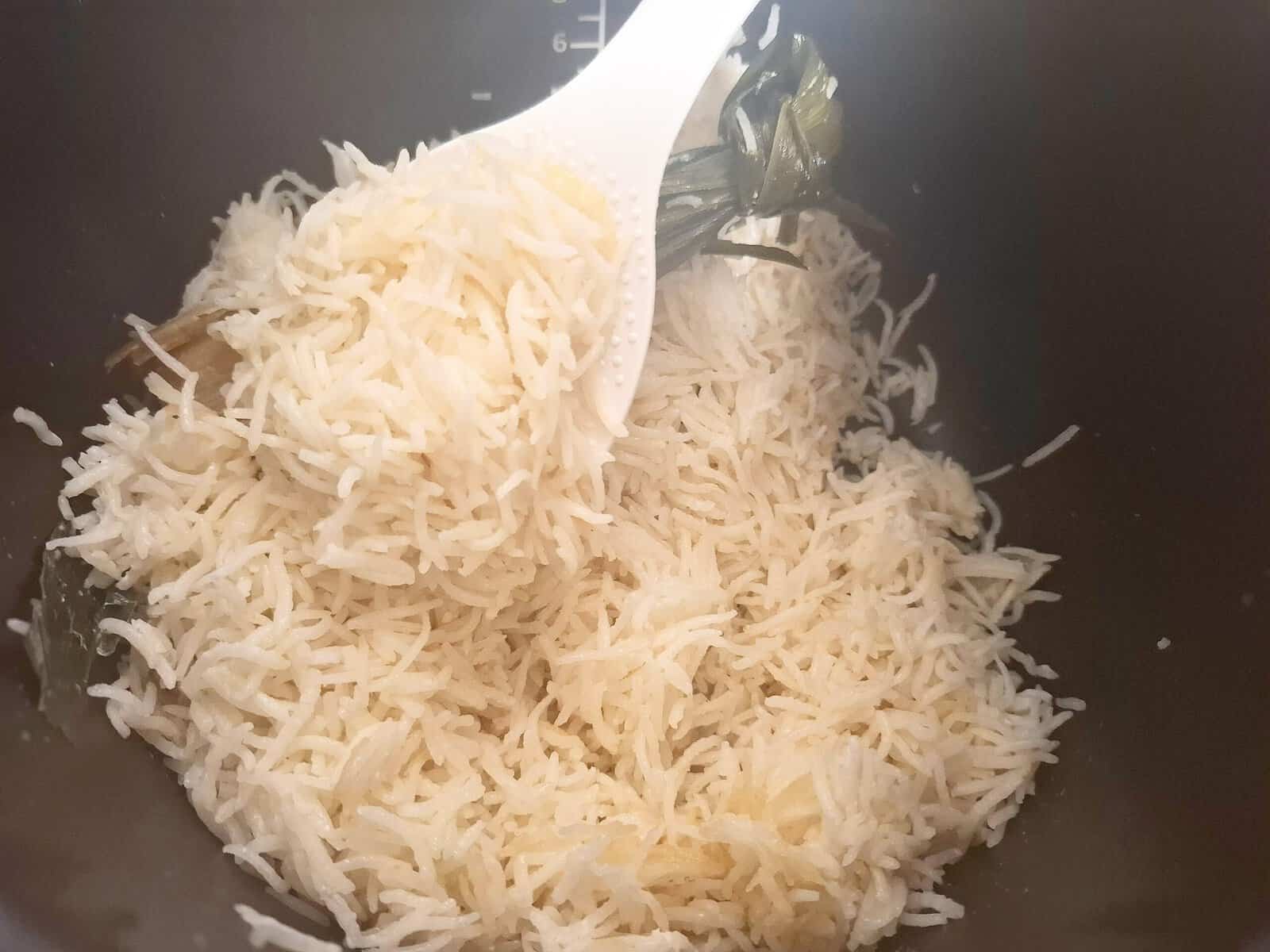 Cooked coconut long grain rice with pandan leaves in a rice cooker pot. A white rice spoon is holding up some rice